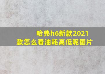 哈弗h6新款2021款怎么看油耗高低呢图片