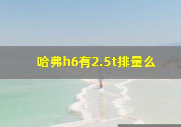 哈弗h6有2.5t排量么