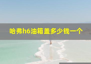 哈弗h6油箱盖多少钱一个