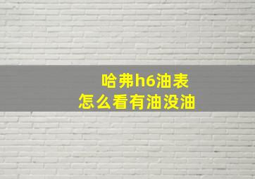 哈弗h6油表怎么看有油没油