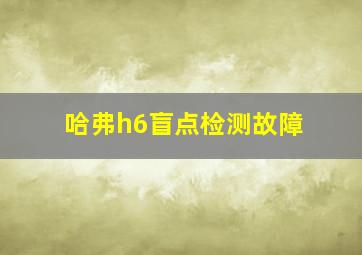 哈弗h6盲点检测故障