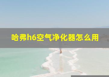 哈弗h6空气净化器怎么用