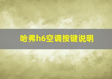 哈弗h6空调按键说明