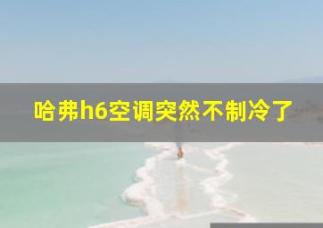 哈弗h6空调突然不制冷了