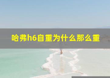 哈弗h6自重为什么那么重