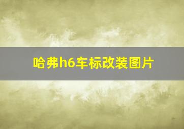 哈弗h6车标改装图片