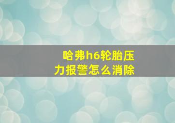 哈弗h6轮胎压力报警怎么消除