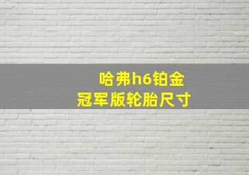 哈弗h6铂金冠军版轮胎尺寸