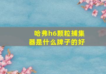 哈弗h6颗粒捕集器是什么牌子的好