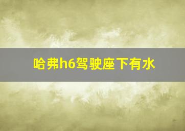 哈弗h6驾驶座下有水