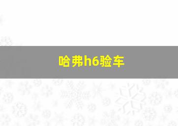 哈弗h6验车