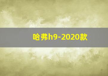 哈弗h9-2020款