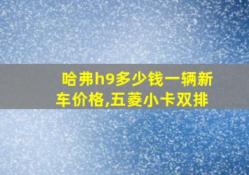 哈弗h9多少钱一辆新车价格,五菱小卡双排