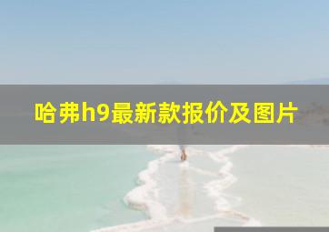 哈弗h9最新款报价及图片