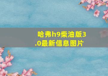 哈弗h9柴油版3.0最新信息图片