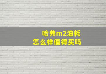 哈弗m2油耗怎么样值得买吗