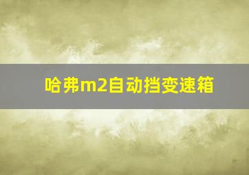 哈弗m2自动挡变速箱