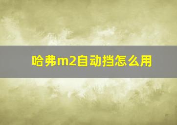 哈弗m2自动挡怎么用