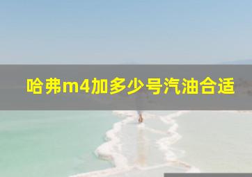 哈弗m4加多少号汽油合适