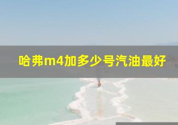 哈弗m4加多少号汽油最好