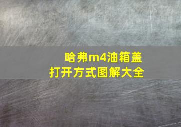 哈弗m4油箱盖打开方式图解大全