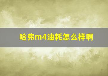 哈弗m4油耗怎么样啊