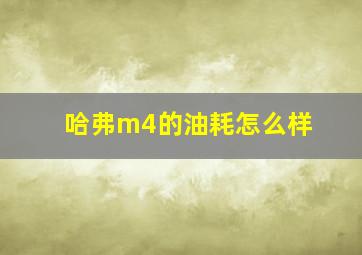 哈弗m4的油耗怎么样