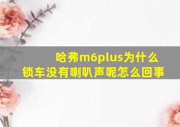 哈弗m6plus为什么锁车没有喇叭声呢怎么回事