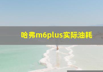 哈弗m6plus实际油耗