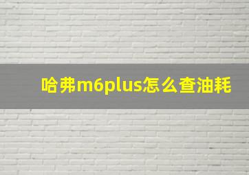 哈弗m6plus怎么查油耗