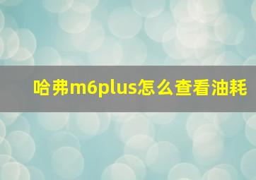 哈弗m6plus怎么查看油耗