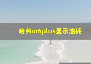 哈弗m6plus显示油耗