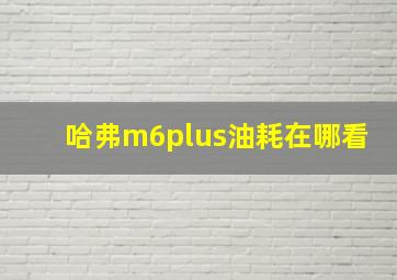 哈弗m6plus油耗在哪看