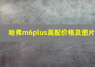 哈弗m6plus高配价格及图片