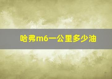 哈弗m6一公里多少油