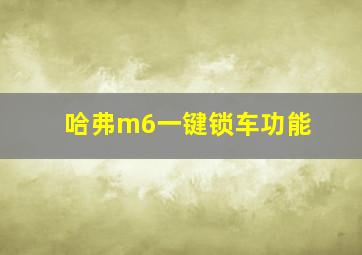 哈弗m6一键锁车功能