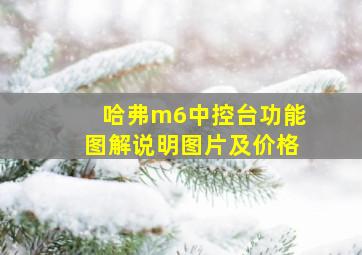 哈弗m6中控台功能图解说明图片及价格