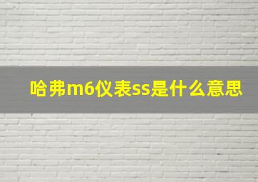 哈弗m6仪表ss是什么意思