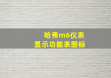 哈弗m6仪表显示功能表图标