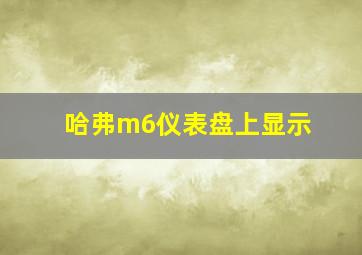 哈弗m6仪表盘上显示