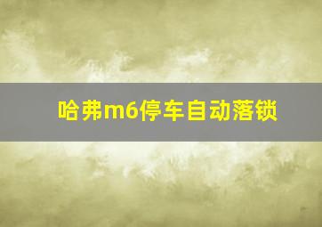 哈弗m6停车自动落锁