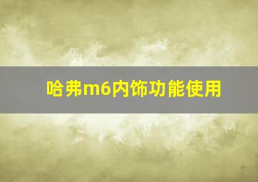 哈弗m6内饰功能使用