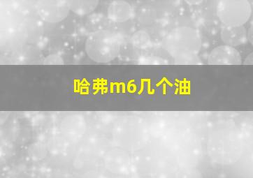 哈弗m6几个油