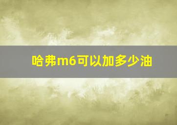 哈弗m6可以加多少油