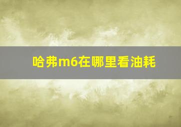 哈弗m6在哪里看油耗