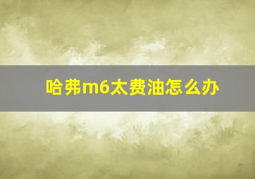 哈弗m6太费油怎么办