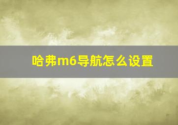 哈弗m6导航怎么设置