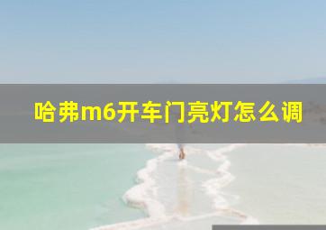 哈弗m6开车门亮灯怎么调