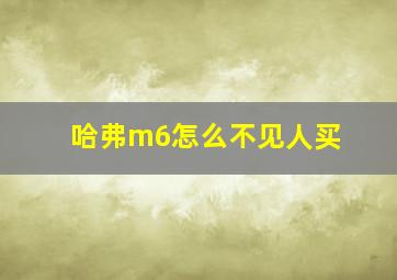 哈弗m6怎么不见人买