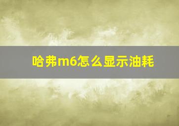 哈弗m6怎么显示油耗